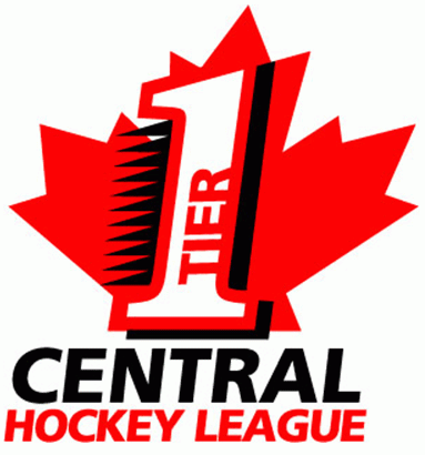 CCHL 2010-2014 Primary logo iron on heat transfer